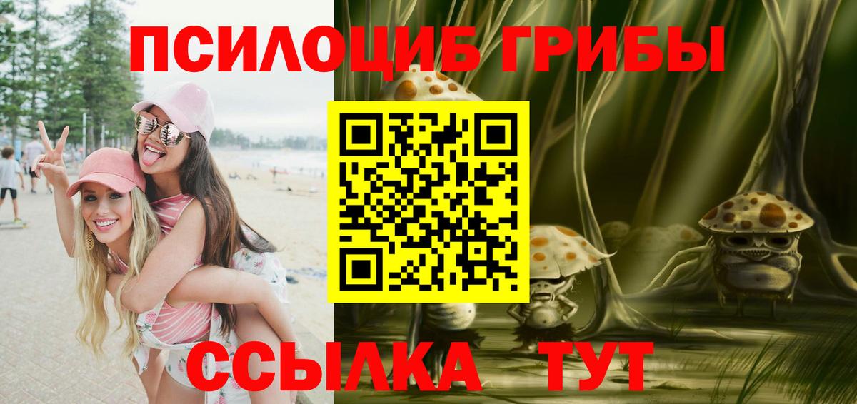Галлюциногенные грибы Psilocybine cubensis Шадринск