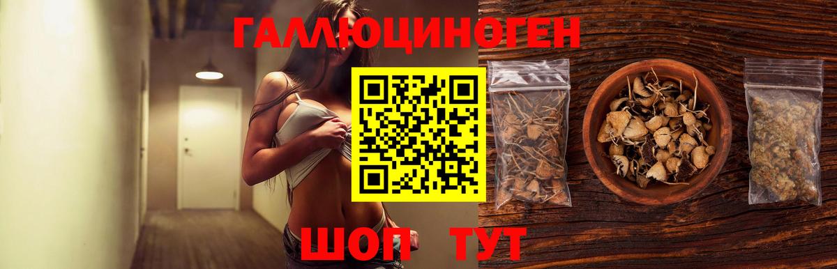 Псилоцибиновые грибы Cubensis  Вход с VPN  Шадринск 